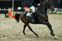 07852 - Mara - 2026 Royal West - Thursday October 15th