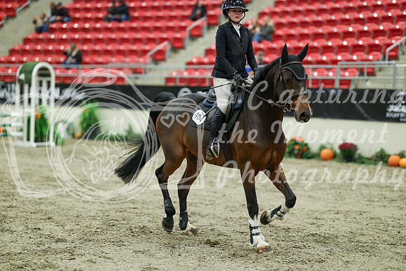 01423 - Mara - 2026 Royal West - Wednesday October 21st