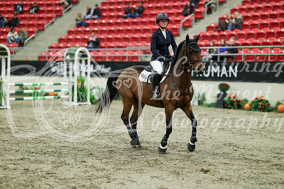 01538 - Mara - 2026 Royal West - Wednesday October 21st