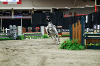 04939 - Mara - 2026 Royal West - Monday October 19th