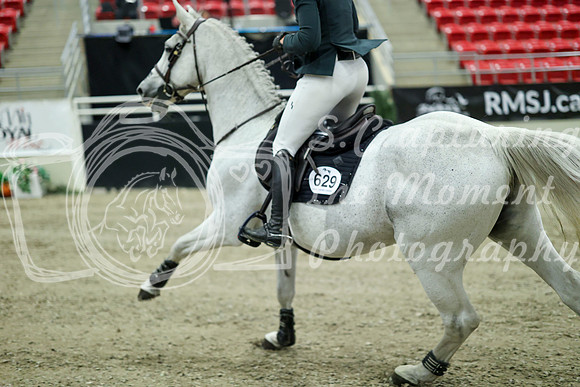03144 - Mara - 2026 Royal West - Wednesday October 21st