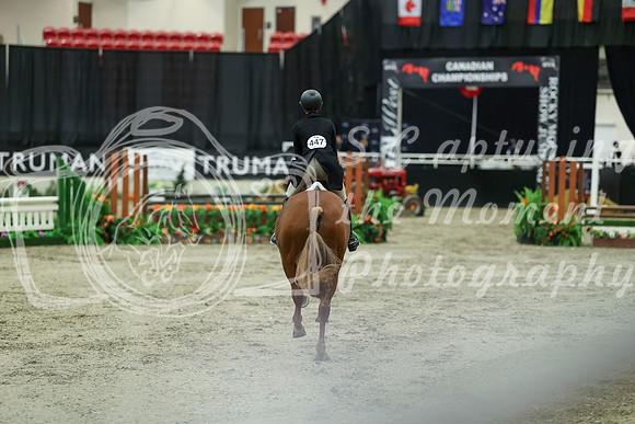 04947 - Mara - 2026 Royal West - Tuesday October 20th