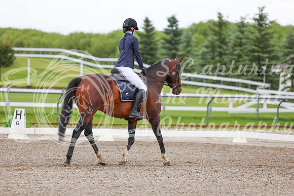 2025 - Dressage Festival - Sunday July 6th - 02135