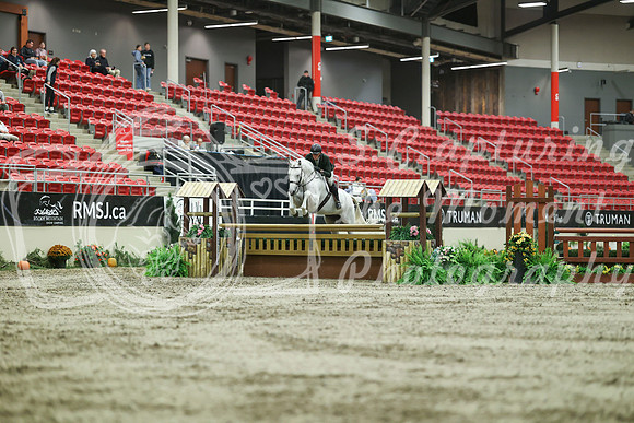 05530 - Mara - 2026 Royal West - Saturday October 17th