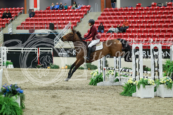 00615 - Mara - 2026 Royal West - Saturday October 2th