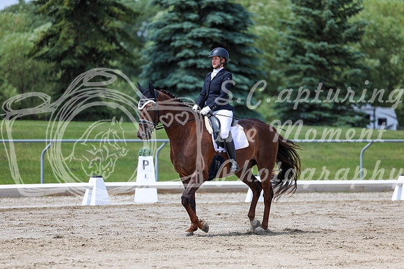 2025 - Dressage Festival - Saturday July 5th - 08481