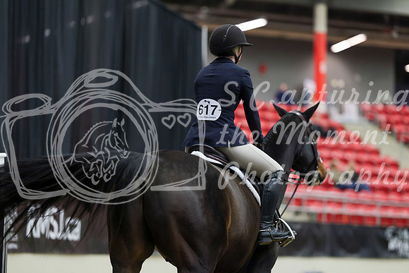 01238 - Mara - 2026 Royal West - Tuesday October 20th