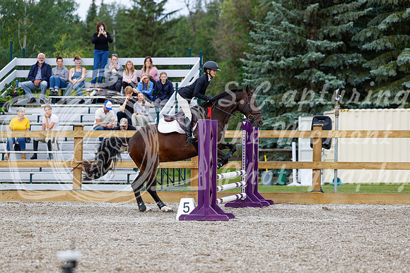 2025 - Haylee - Picco Horse Show - Friay July 25th 00996