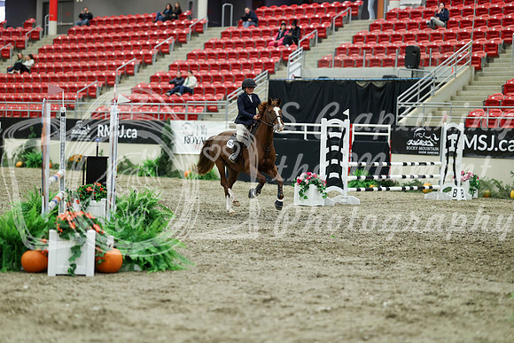 04020 - Mara - 2026 Royal West - Friday October 16th