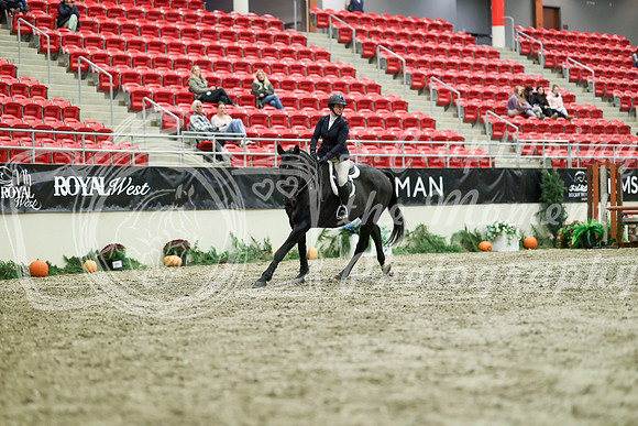02185 - Mara - 2026 Royal West - Monday October 19th