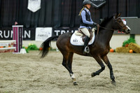 01254 - Mara - 2026 Royal West - Wednesday October 21st