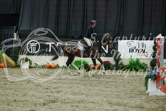 00121 - Mara - 2026 Royal West - Thursday October 15th