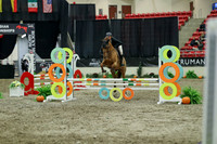 02540 - Mara - 2026 Royal West - Thursday October 15th