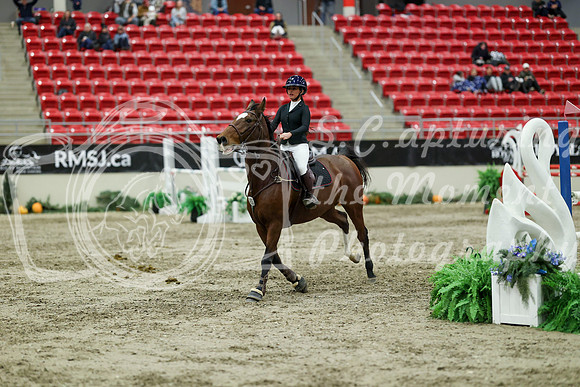 06015 - Mara - 2026 Royal West - Saturday October 24th