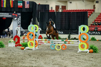 01404 - Mara - 2026 Royal West - Thursday October 15th