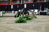 03728 - Mara - 2026 Royal West - Tuesday October 20th