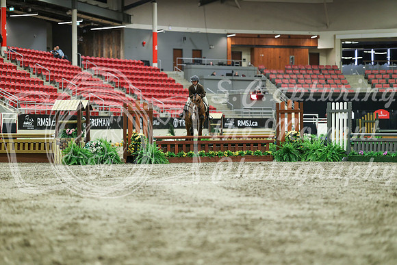 02984 - Mara - 2026 Royal West - Saturday October 17th