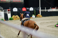 01298 - Mara - 2026 Royal West - Friday October 23rd
