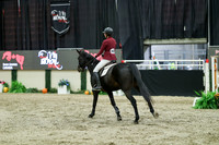 05384 - Mara - 2026 Royal West - Sunday October 18th