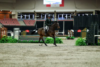 01550 - Mara - 2026 Royal West - Saturday October 17th