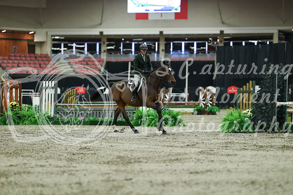 01550 - Mara - 2026 Royal West - Saturday October 17th