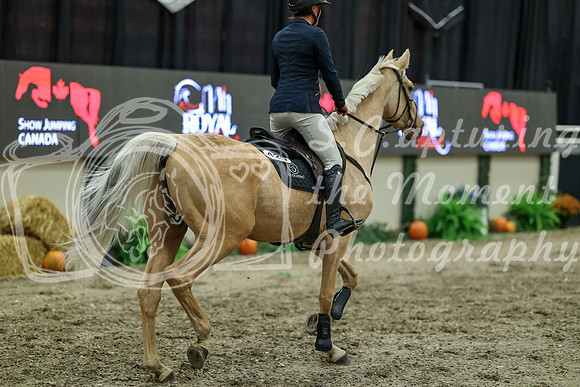 04387 - Mara - 2026 Royal West - Friday October 16th