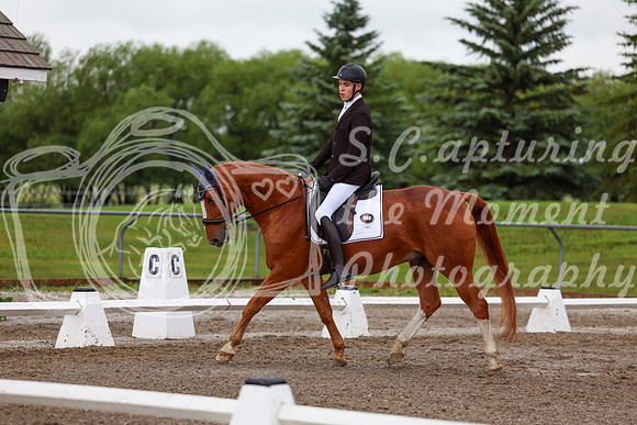 2025 - Dressage Festival - Sunday July 6th - 01347