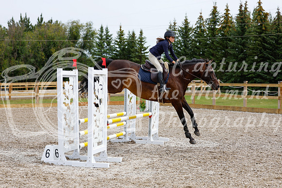 2025 - Haylee - Picco Horse Show - Friay July 25th 01899