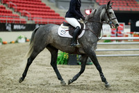 07079 - Mara - 2026 Royal West - Sunday October 18th