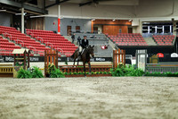 02348 - Mara - 2026 Royal West - Saturday October 17th