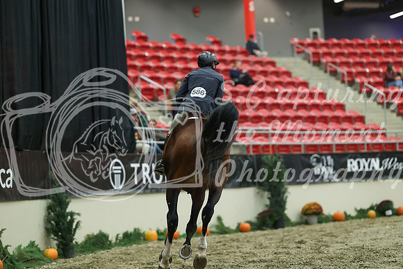 05300 - Mara - 2026 Royal West - Saturday October 17th