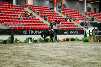 02002 - Mara - 2026 Royal West - Saturday October 17th