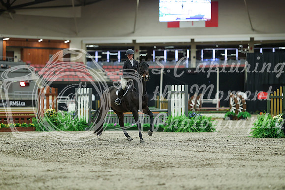 01446 - Mara - 2026 Royal West - Saturday October 17th