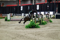 03725 - Mara - 2026 Royal West - Tuesday October 20th