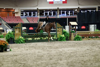 01506 - Mara - 2026 Royal West - Tuesday October 20th