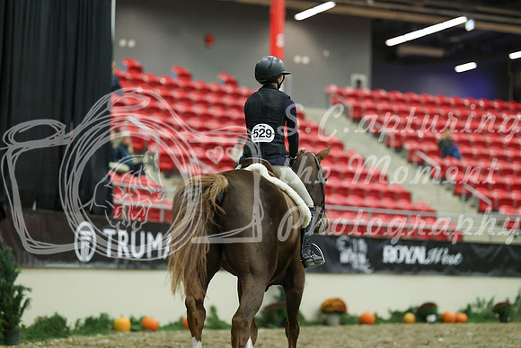 02881 - Mara - 2026 Royal West - Saturday October 17th