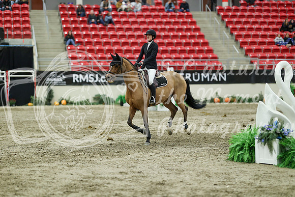 06629 - Mara - 2026 Royal West - Saturday October 24th