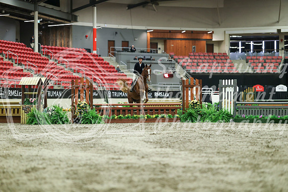 02391 - Mara - 2026 Royal West - Saturday October 17th