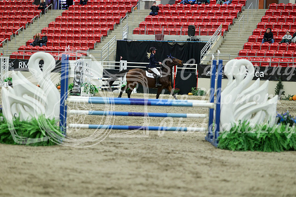 00736 - Mara - 2026 Royal West - Saturday October 2th