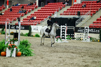 03257 - Mara - 2026 Royal West - Friday October 16th