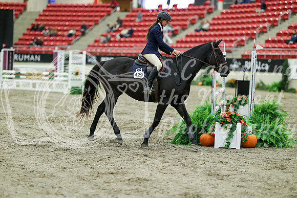 03066 - Mara - 2026 Royal West - Friday October 16th