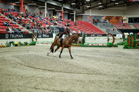 06873 - Mara - 2026 Royal West - Saturday October 17th