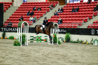 01550 - Mara - 2026 Royal West - Wednesday October 21st