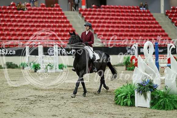04590 - Mara - 2026 Royal West - Saturday October 24th