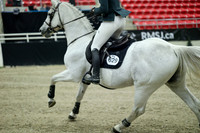 03143 - Mara - 2026 Royal West - Wednesday October 21st