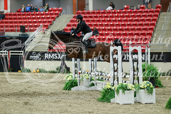 01138 - Mara - 2026 Royal West - Saturday October 2th