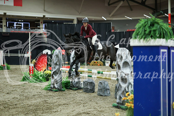 03860 - Mara - 2026 Royal West - Wednesday October 21st