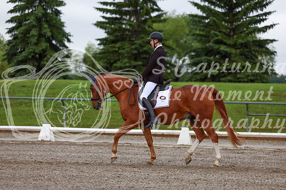 2025 - Dressage Festival - Sunday July 6th - 01326