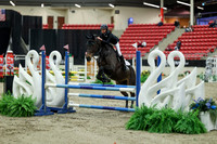 00429 - Mara - 2026 Royal West - Saturday October 2th