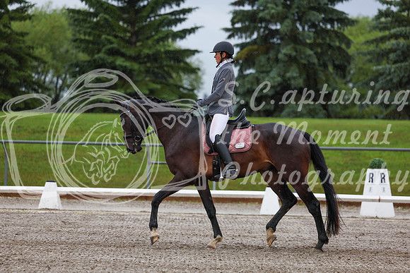 2025 - Dressage Festival - Sunday July 6th - 00624